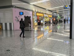 -石家庄正定国际机场-T2航站楼