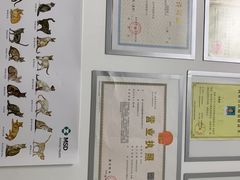-宠福鑫康馨动物医院·骨科·眼科