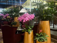 -北京朝阳悠唐皇冠假日酒店