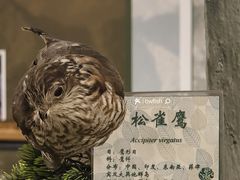 -中山市树木园