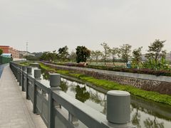 -长洲岛