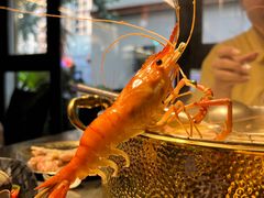 -琥珀川糟粕醋火锅(慈云寺店)