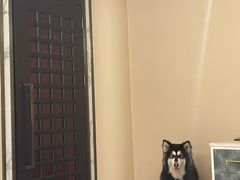 -漾亚·雍雅合鲜(桐梓林店)