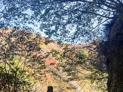 -西安金龙峡风景区