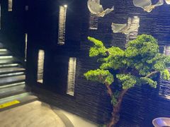 -上足·影院足道·SPA(红岭店)