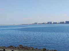 -集美鳌园景区
