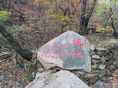 -本溪汤沟绿石谷森林公园