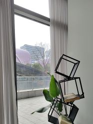 -世田造型