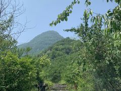 -阳台山自然风景区