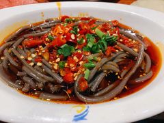 酸辣蕨根粉-龙聚德北京烤鸭(沙坪坝华宇A馆店)