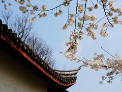-范蠡湖公园