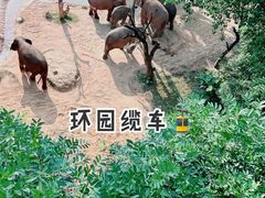 -广州长隆野生动物世界