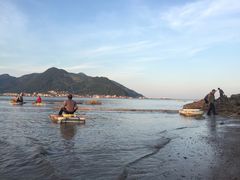 -北岐滩涂