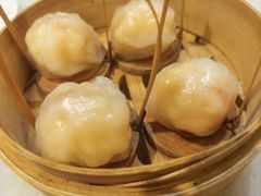 -金鼎轩(方庄天坛店)