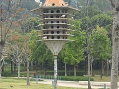-顺峰山公园