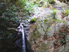 -阳台山森林公园