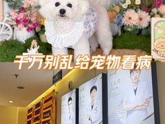 -爱派特动物医院·全科诊疗中心