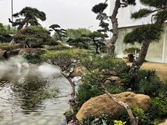 -罗红摄影艺术馆