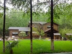 -合肥滨湖国家森林公园