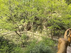 -浙北大峡谷