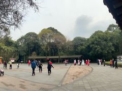 -望江楼公园