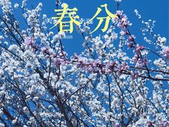 -桃花堤公园