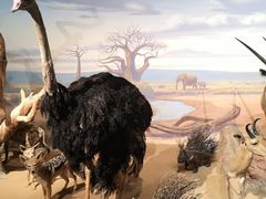 -陕西自然博物馆