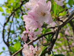 -重庆彩云湖湿地公园