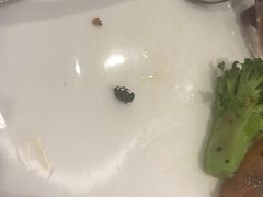 -必胜客(绿地新都会店)