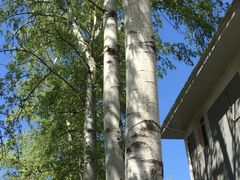 -北京小汤山医院体检中心