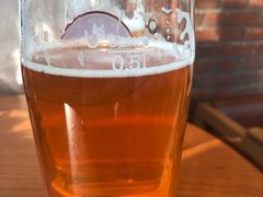 -Boxing Cat Brewery拳击猫精酿啤酒馆(永福店)
