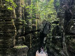 -梭布垭石林景区