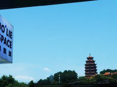 -铁山坪森林公园