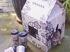 -霸王茶姬(上海静安大悦城店)