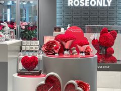 -ROSEONLY诺誓(国际广场购物中心店)