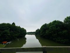 -上海海湾国家森林公园