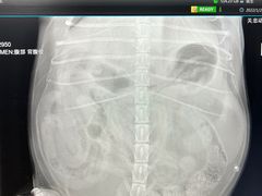 -瑞派·关忠动物医院·异宠专科·犬猫肿瘤·皮肤专科(望京店)