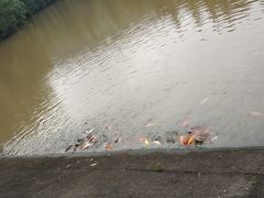 -滴水岩森林公园
