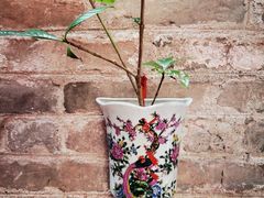 -烟桥私房菜馆(奋哥)