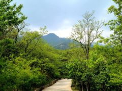 -阳台山自然风景区