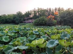 -成都市文化公园