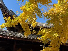 -龙华寺