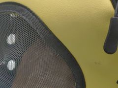 -动物缘宠物医院·骨科·猫科(西二环店)