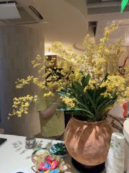 点击看大图 -阿南达·瑜伽普拉提·阿育吠陀疗愈中心