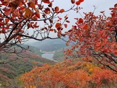 -北京西山国家森林公园