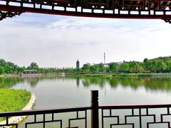 -西海子公园