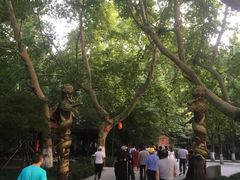-杭州黄龙洞