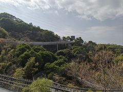-福道