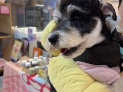 -FAELING PETS美天灵宠物(富力广场店)