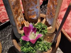 -盡膳口福跷脚牛肉火锅(北美新天地店)